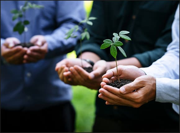 SDGsイメージ画像